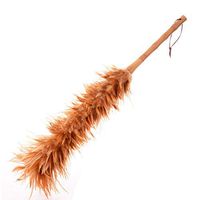 Household Feather Duster Car With Dust Brush To Remove Dust Not Easy To Lose Hair Feather Duster