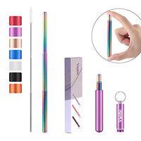 Vantic Reusable Collapsible Telescopic Stainless Steel Portable Drinking Straw with Travel Case & Cleaning Brush for 12oz/20oz/30oz Cups, Rainbow-Violet