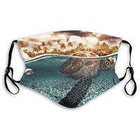 Mouth Masks for Dust Protection Anti Face Mask Washable Earloop Mask Activated Carbon Filter