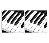 Piano Black and White 5 x 5 Non-Toxic Paper Cocktail Napkins 2 Packs of 20