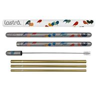 LASTRA High Fashion Reusable Stainless Steel Straw Set 3 Metal Nested Drinking Straws Stainless Steel Housing Wide Smoothie Straw Standard Soda Straw and Hot Beverage Sip/Stir Straw (Chickadee)