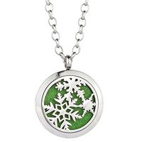 GelConnie Snowflake Essential Oil Diffuser Necklace Aromatherapy Locket Stainless Steel Pendant Perfume Gift Fragrance Jewelry for Women CSFL373-1