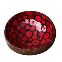 AXZHYX Bowl Bowl Natural Coconut Shell Bowl Hotel Furniture Small Bowl Simple Creative Bowl Crafts Multiple Colors Hotel Tableware Home Noodles Boiled Fish Soup Bowl (Color : Blue)