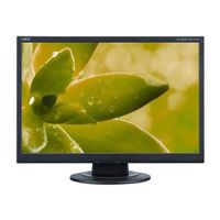 NEC AccuSync AS192WM-BK 19-Inch Screen LCD Monitor