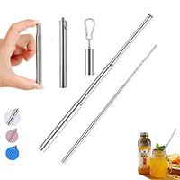 [Scratch-proof] Portable Reusable Straws with Case Collapsible Telescopic Stainless Steel Metal Drinking Straw Cleaning Brush and Keychain Carry Gift Choice (Silver)