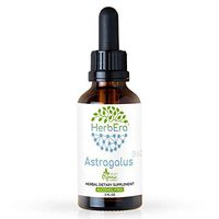 Astragalus B60 Alcohol-Free Herbal Extract Tincture, Super-Concentrated Organic Astragalus (Astragalus membranaceus) Dried Root (2 fl oz)