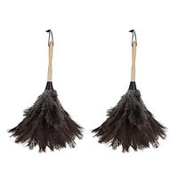 TOPBATHY 2Pcs Ostrich Duster Mini Feather Duster with Wooden Handle Anti-Static Cleaning Brush Tools for Furniture Car Dust Cleaner