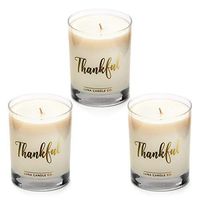 LUNA CANDLE CO. Thankful - Apple Cinnamon Scented Luxurious Candles - 11 Oz (3 Pack)