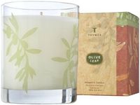 Thymes Aromatic Candle, Olive Leaf