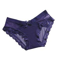 Theoylos Womens Underwear Lace Bikini Panties Silky Comfy Lace Briefs Ladies Elastic Large Size Panties Seamless Briefs Blue