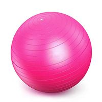 LDHVF Exerclse Ball Anti-Burst Heavy Duty Stability Ball Stability Therapy Exercise Equipment Exercise Stability Yoga Ball Balance for Home
