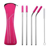 buS9YIN4E 4Pcs Creative Reusable Stainless Steel Metal Straws with Silicone Tips Cover - About 8.5 Inch- Include 1Pc Organizer Bag 1Pc Cleaning Brush 2Pcs Bent Straws and 2Pcs Straight Straws