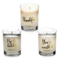 LUNA CANDLE CO. Highly Scented Apple Cinnamon, Peach Bellini and Eucalyptus Jar Candle (Set of 3) 11oz. Clear Glass, Soy Wax, Up to 110 Hours of Burn Time, Gift- to The Hostess with The Mostess