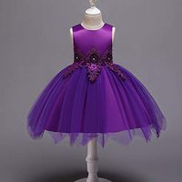Swiusd 0-7T Toddler Child Baby Girls Church Wedding Party Dresses Sleeveless Floral Embroidered Tulle Prom Dresses (Purple, 4-5 Years)