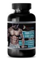 libido Care - TRIBULUS TERRESTRIS 1000MG - 40% Extract - tribulus terrestris Extract - 1 Bottle (60 Tablets)