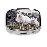 Icelandic Sheep Nature Iceland Parks Outdoor Skin Cool Super Soft and Luxury 2 Slots Medicine Box Square Metal Pill Box Small Medicine Case Vitamin Box for Travel Outdoors