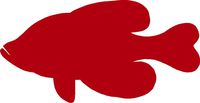 hBARSCI Fish Vinyl Decal - 5 Inches - for Cars, Trucks, Windows, Laptops, Tablets, Outdoor-Grade 2.5mil Thick Vinyl - Red