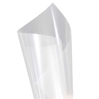 HOHOFILM Holographic Rear Projection Screen Film Self Adhesive Screen Film 60"x20" (Transparent)