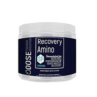 Recovery Amino SP (3)