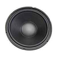 12" Woofer with Poly Cone and Rubber Surround 120W RMS at 8ohm