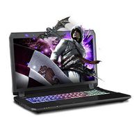 Clevo Prostar P670RS-G 17.3" FHD/IPS/Matte Display with G-Sync, Intel Core i7-6700HQ, 16GB DDR4, GTX 1070, 256GB SSD, 1TB HDD, Windows 10 Home, Intel Dual Band Wireless 3165