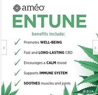 Ameo Transdermal Premium Hemp 24 Hour Pain Relief Hemp Square Patches (30)