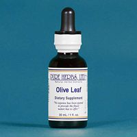 Olive Leaf - 1 OZ (Natural Herbal Extracts)