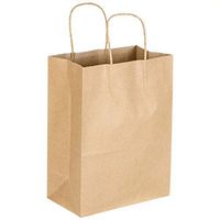 Paper Bags with Handles - Brown Carrier Bags for Food, Gift Bags with 100% Recycled Kraft Paper for Birthday Parties | 8”x4.25“x10.5” (10 Pack) |