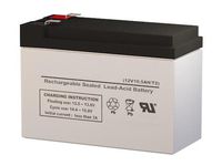 IBT Technologies BT10-12 12 Volt 10.5 AmpH SLA Replacement Battery with F2 Terminal