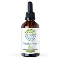 Motherwort B120 Alcohol-Free Herbal Extract Tincture, Super-Concentrated Organic Motherwort (Leonurus Cardiaca) Dried Herb (4 fl oz)