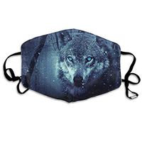 TDynasty Unisex Mouth Mask Fashion Arctic Snow Wolf Filters Breathable Masks Can Be Washed Reusable for Outdoor Cycling