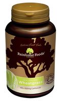 Rainforest Foods Organic NZ Wheatgrass 140 capsule