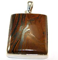 Sterling Silver Tigers Iron Pendant Jewellery PEND435