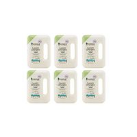 PiPPER STANDARD Luandry Detergent, Natural Eucalyptus 900ml. Pack 6 bottles