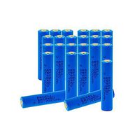 3.6V 700mah ER10450 Li-SOCl2 Lithium Battery,24 Counts