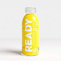 Ready Nutrition Protein Infused Water, 15g Whey Protein Isolate, 0 Sugar, NO Artificial Ingredients, Great for Weight Loss, Lemon Ice (16.9 fl oz Bottle, Pack of 12)
