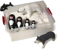 School Health Sensi-Arctic Kit