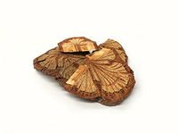 红藤 | Sargentgloryvine Stem