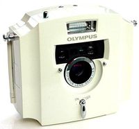 OLYMPUS ECRU COLLECTOR 35MM FILM CAMERA