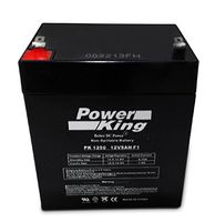 Beiter DC Power Enersys 12V 4.5Ah/5.0ah SLA Rechargeable Battery for Security Systems