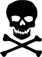 Jolly Roger Pirate Skull Crossbones Graphic Car Truck Window Decor Decal Sticker - Die cut vinyl decal for windows, cars, trucks, tool boxes, laptops, MacBook - virtually any hard, smooth surface
