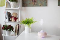 Omnia Essentail Oil Diffuser - Free Gift Included w/Purchase - Humidifier, Air Purifier - Ultrasonic, Electric, Quiet, Portable - for Aromatherapy w/LED Light