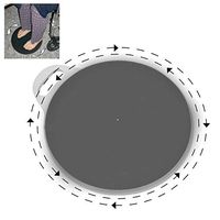 SafetySure 15 inch Pivot Disc