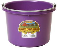Fortiflex Over The Fence Feeder Bright Purple