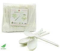 [400 COUNT] 6.5" Spoons Disposable PLA Compostable Utensils for Soup Event Picnic Appetizer Party Tasting (6.5 inch Long, Sustainable Cutlery Made of Corn, Dye Free, Heat Resistant)