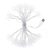 Decorative String Lights 7.7ft 20LED Fairy Battery Powered String Lights, Plastic Snowflake Shape Decorative String Christmas,Wedding (Warm White)