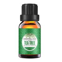 Homasy Tea Tree Essential Oil, 15ml 100% Pure Aromatherapy Essential Oil for Diffuser and Humidifier, Natural Essential Oil Useful for Spa Massage, Hair Care, Relax, Home Cleaning