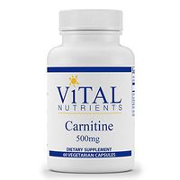 Vital Nutrients - Carnitine 500 mg - Cardiovascular and Fat Metabolism Support - L-Carnitine Supplement - Heart Health Support - Promotes Fatty Acid Transport - 60 Vegetarian Capsules per Bottle