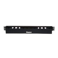 Panduit WMPLFSE Horizontal Cable Manager, Black