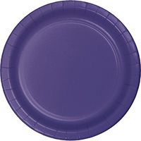 Creative Converting 553268 Touch of Color 96 Count Dinner/Large Paper Plates, Purple